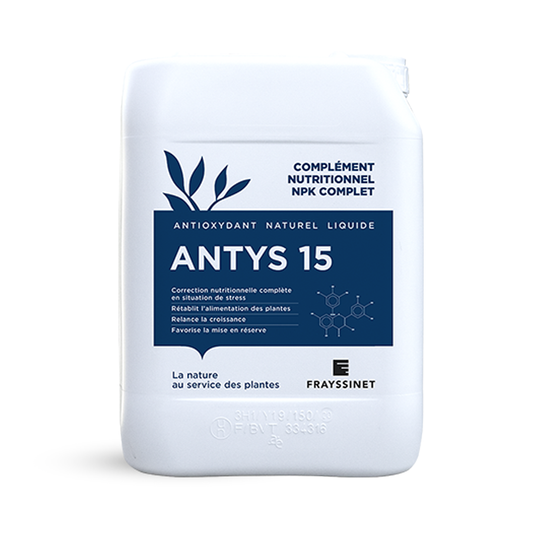 ANTYS 15