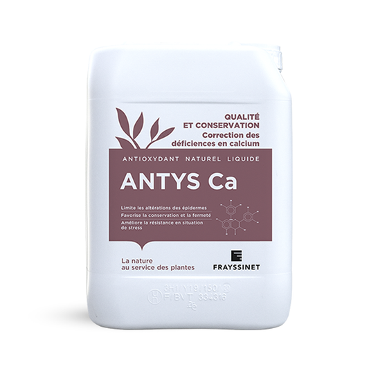ANTYS Ca