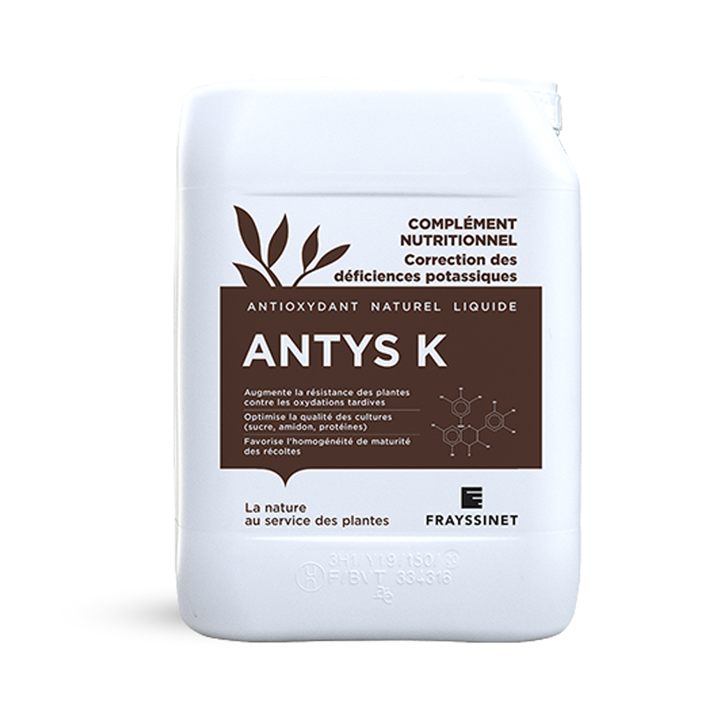 ANTYS K