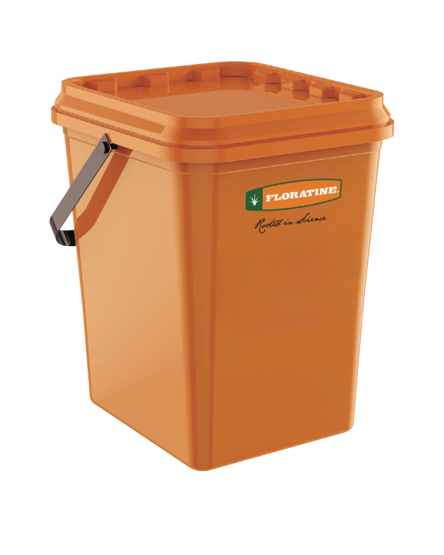 RZA - Enmienda de la Zona Radicular