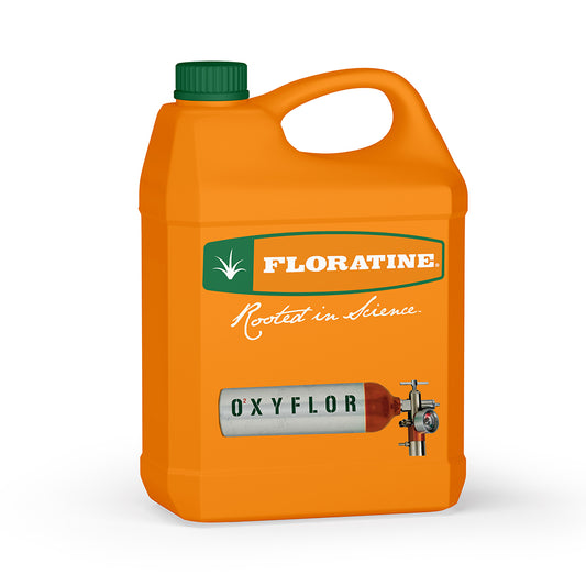Oxyflor 19 - Oxygen Infusion