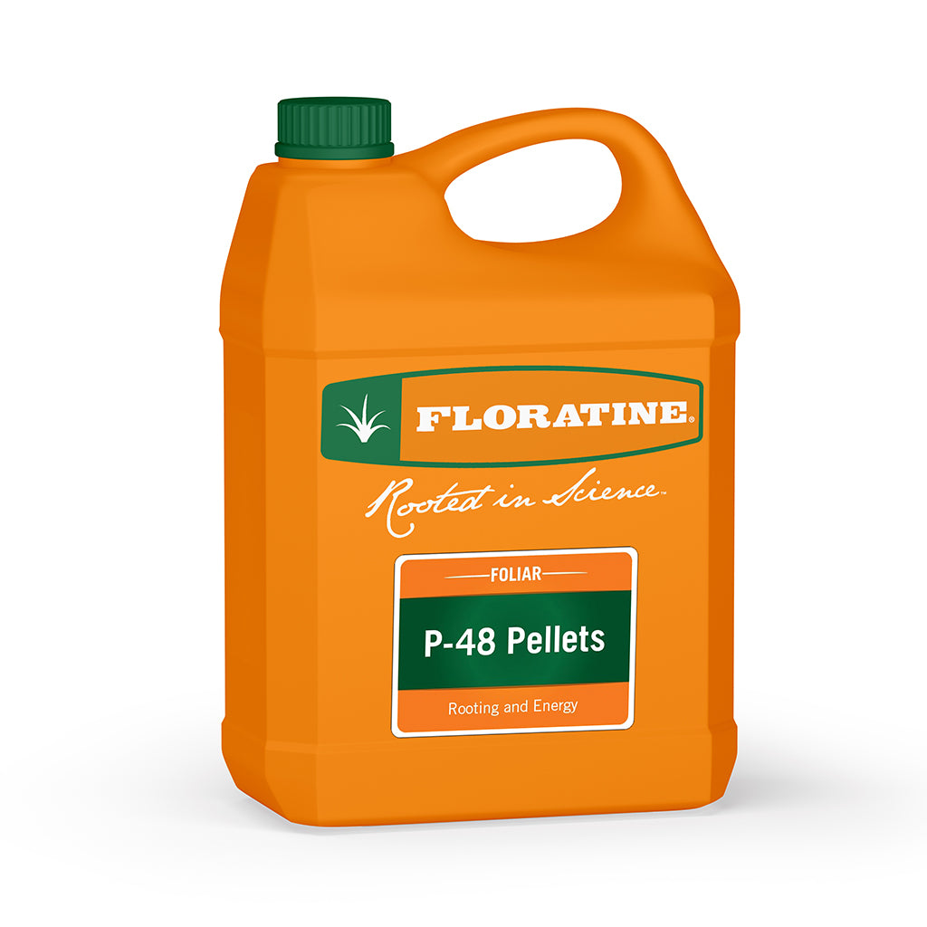 P-48 PELLETS