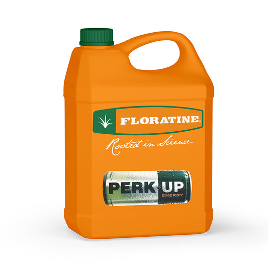 Perk Up - Heat Stress Relief