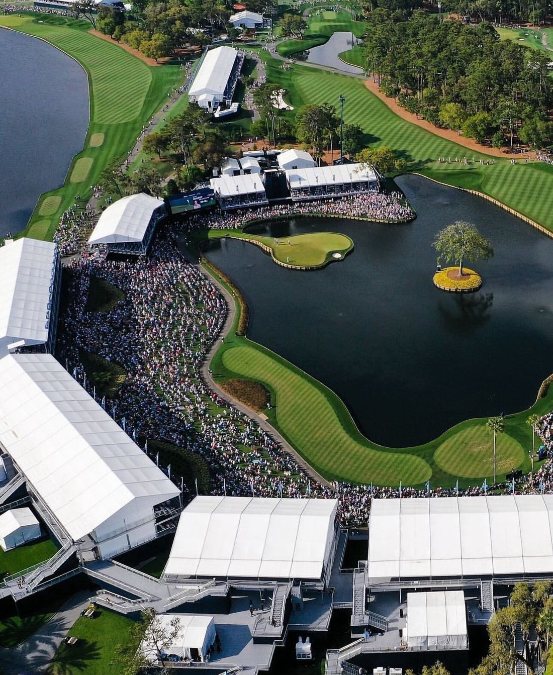 Floratine at TPC Sawgrass: Proven Performance on Golf’s Biggest Stage