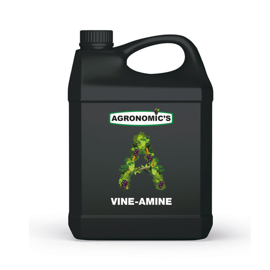 ASL VINE-AMINE