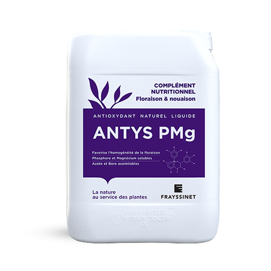 ANTYS PMg
