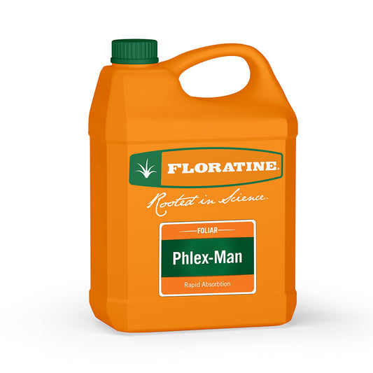 PHLEX-MAN